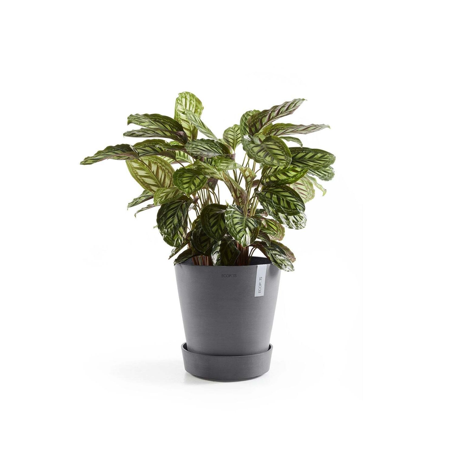 Aluslautanen Amsterdam pyörillä 60cm harmaa