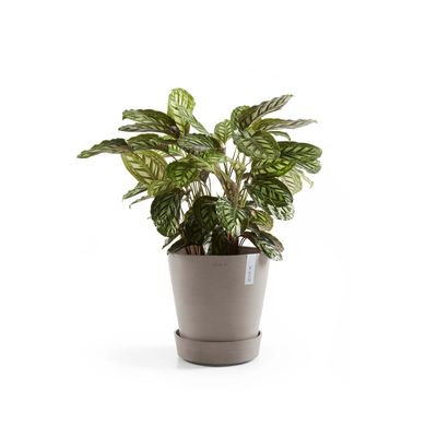 Aluslautanen Amsterdam pyörillä 60cm taupe