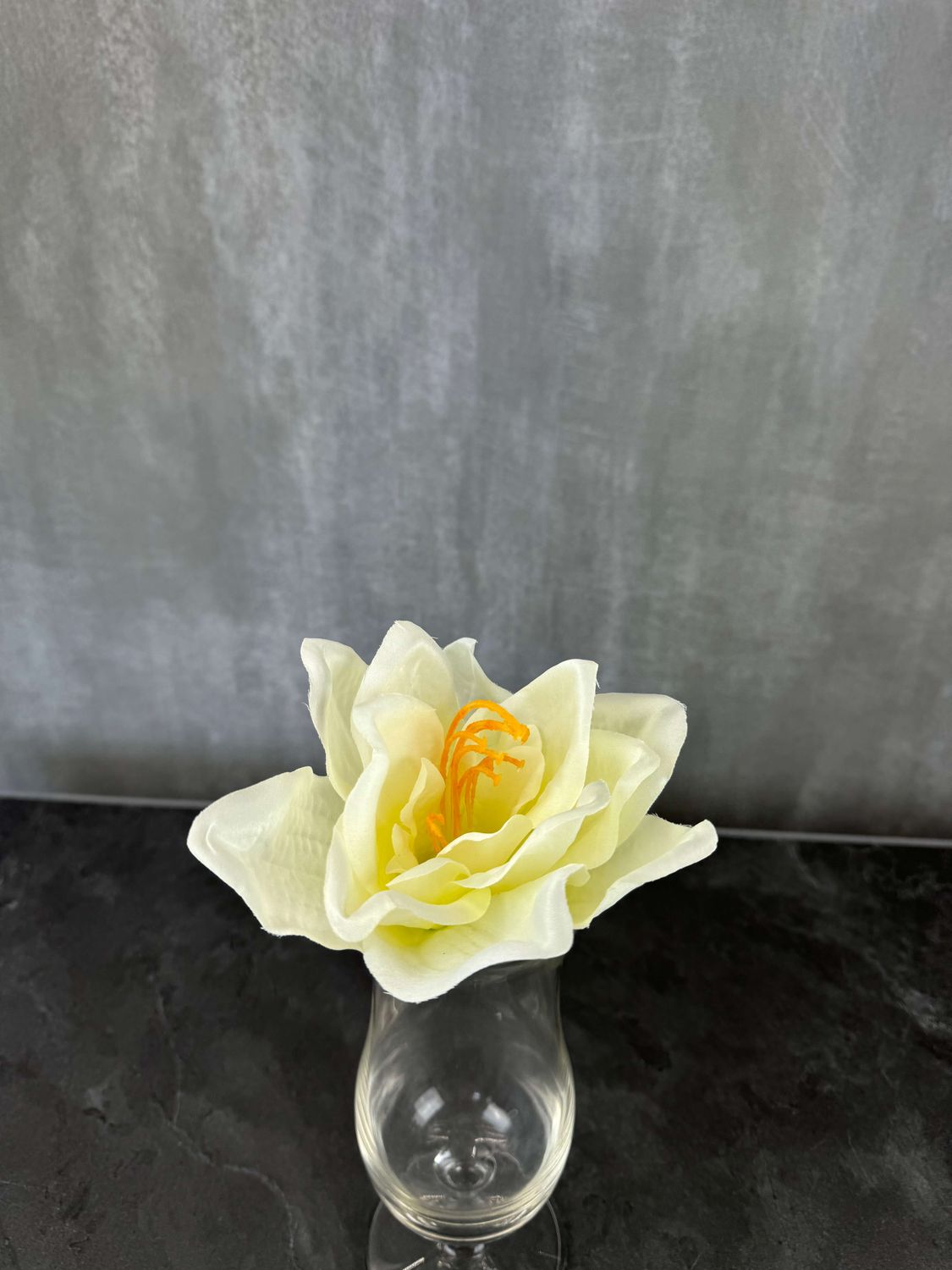 Amaryllis tekokukka