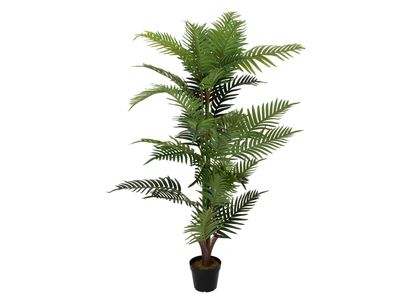 Areca tekopalmu 150cm