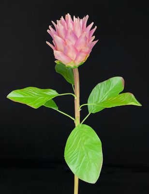 Ananas tekokukka, vaaleanpunainen