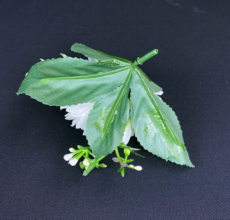 Asteri tekokukkapää lehdillä, vihertävä kerma