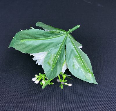 Asteri tekokukkapää lehdillä, vihertävä kerma