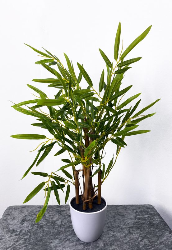 Bambu tekokasvi