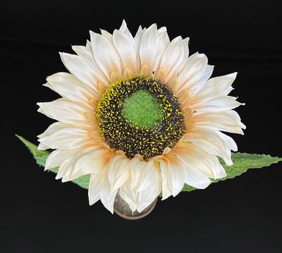 Auringonkukka tekokukka, vaalea beige