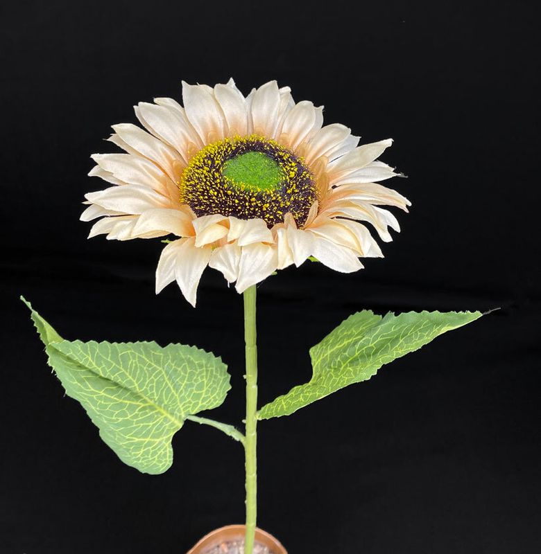 Auringonkukka tekokukka, vaalea beige
