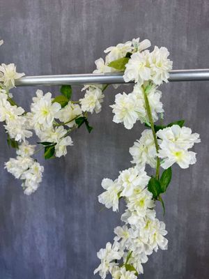 Azalea tekokukkaköynnös, kerma