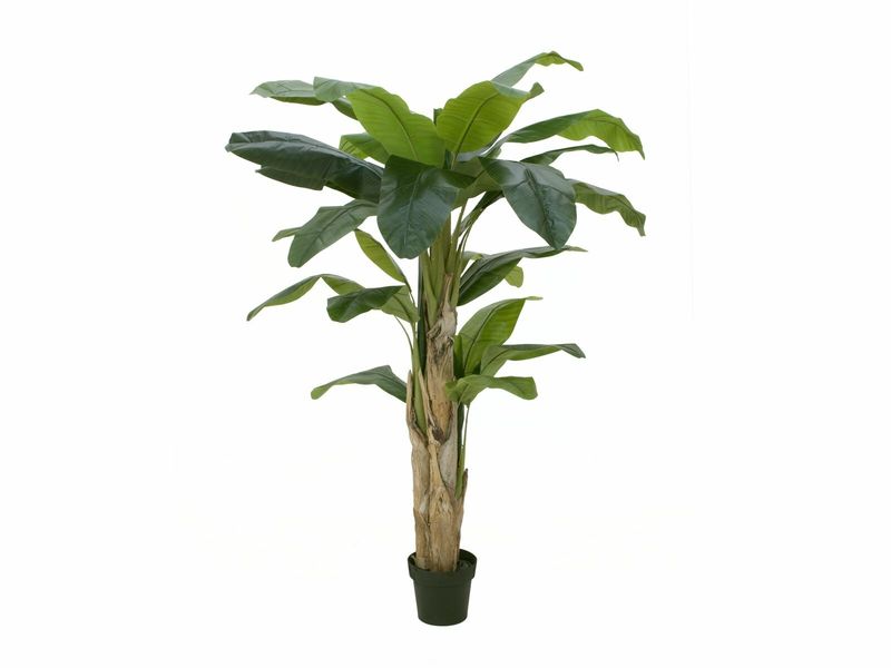 Banaani tekopuu 170cm