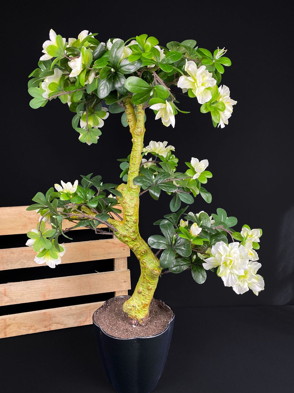 Azalea bonsai tekopuu 80cm