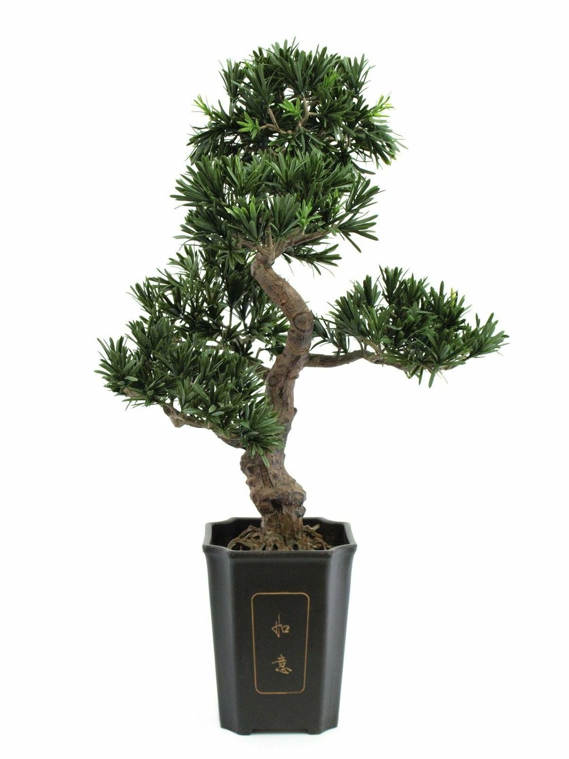 Bonsai tekokasvi ruukussa 80cm