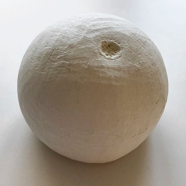 Bela-hedelmän kuivattu kuori