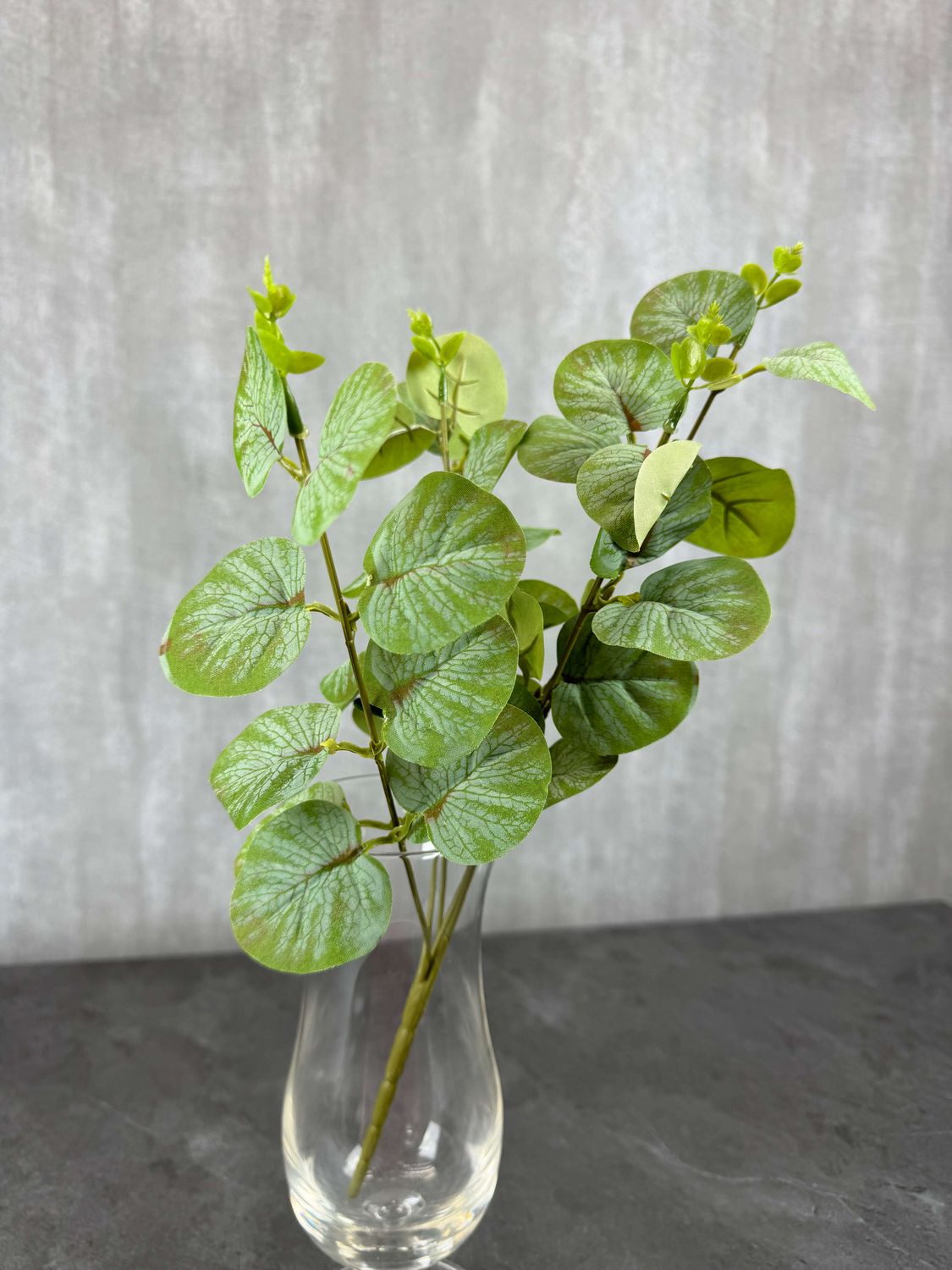 Eukalyptus teko-oksa, vihreä