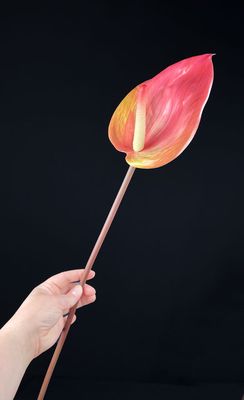 Flamingokukka tekokukka, rosa/keltavihreä