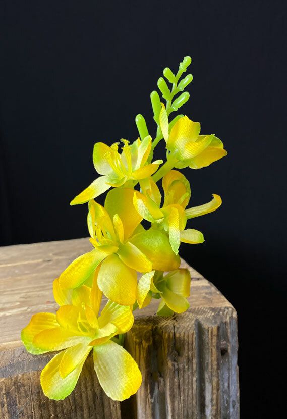 Freesia kestokukkapää, keltainen/vihreä