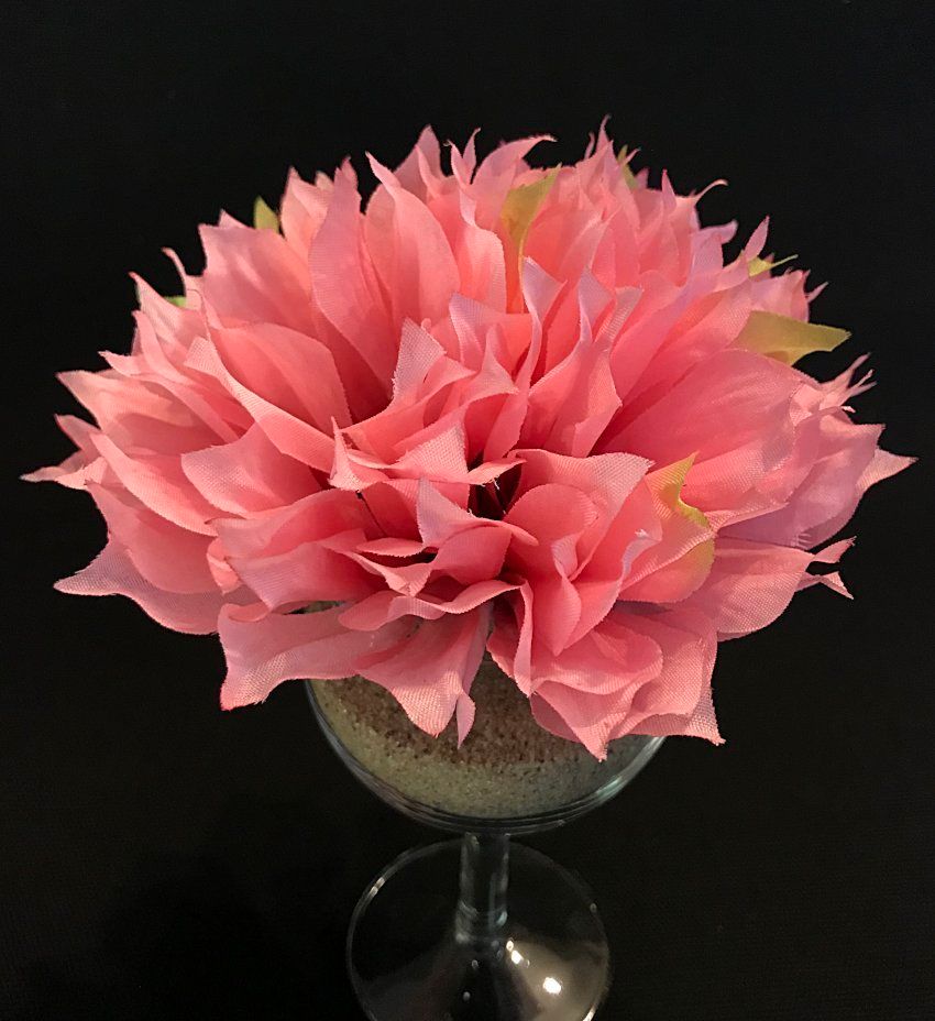 Daalia tekokukkapää, rosa