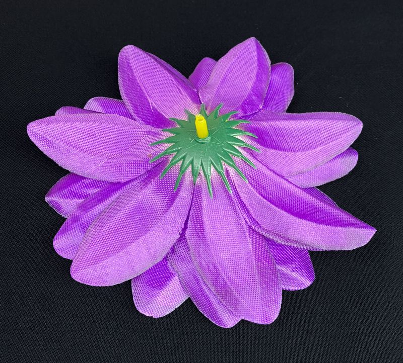 Daalia tekokukkapää, violetti