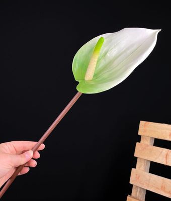 Flamingokukka tekokukka, vihreä