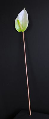 Flamingokukka tekokukka, vihreä