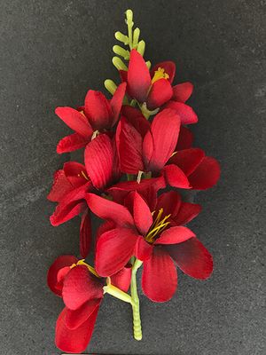 Freesia kestokukkapää, tummanpunainen