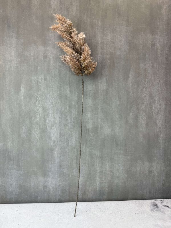 Jaloangervo teko-oksa 87cm, ruskea