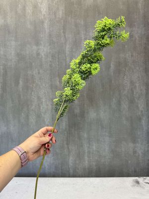 Sypressin teko-oksa 70cm, vihreä