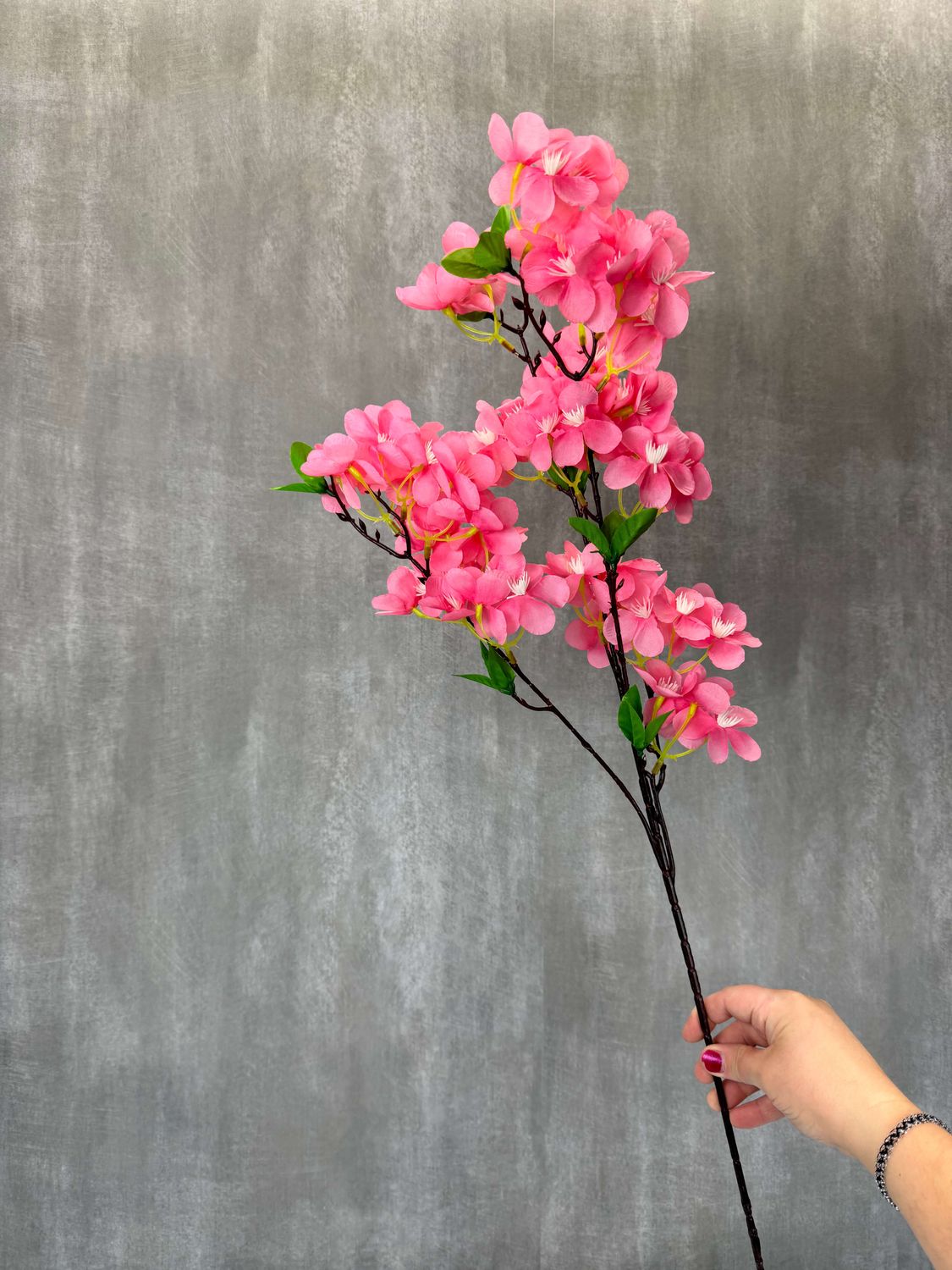 Kirsikan tekokukkaoksa, pinkki/vaaleanpunainen