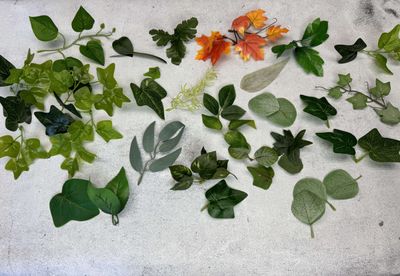 POISTOTUOTE: Tekolehdet