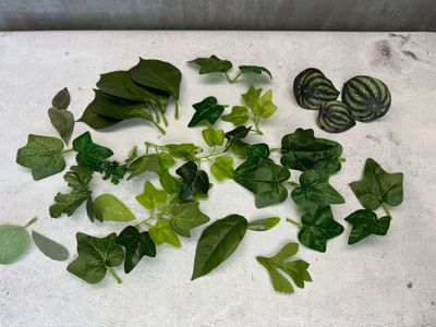POISTOTUOTE: Lehtilajitelma 30kpl