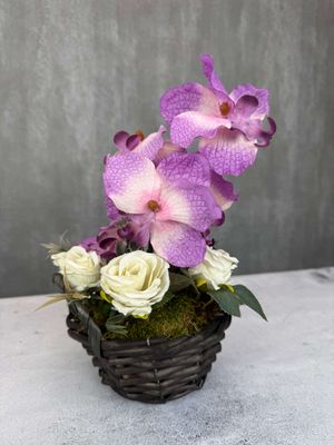 Orkidea tekokukka ruukussa, violetti