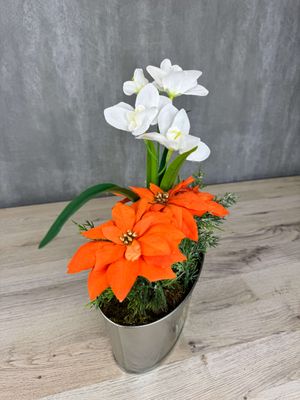 Oranssit joulutähdet ruukussa, kestokukka-asetelma