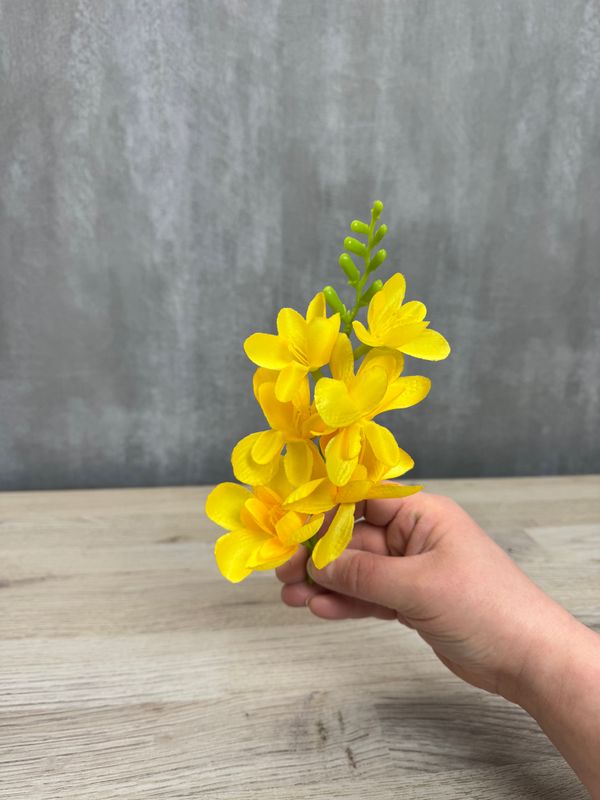 Freesia kestokukkapää, keltainen