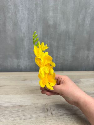 Freesia kestokukkapää, keltainen