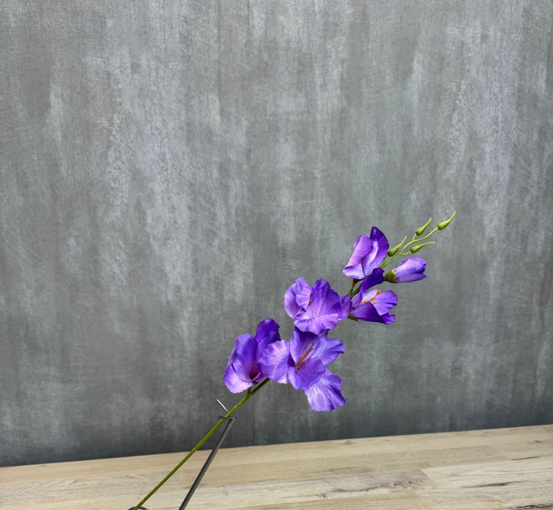 Miekkalilja tekokukka, violetti