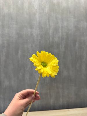 Keltainen gerbera tekokukka