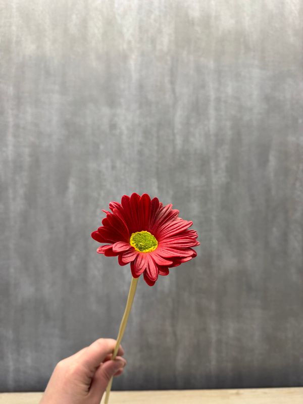 Punainen gerbera tekokukka
