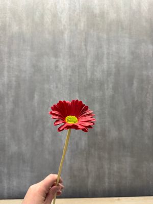 Punainen gerbera tekokukka