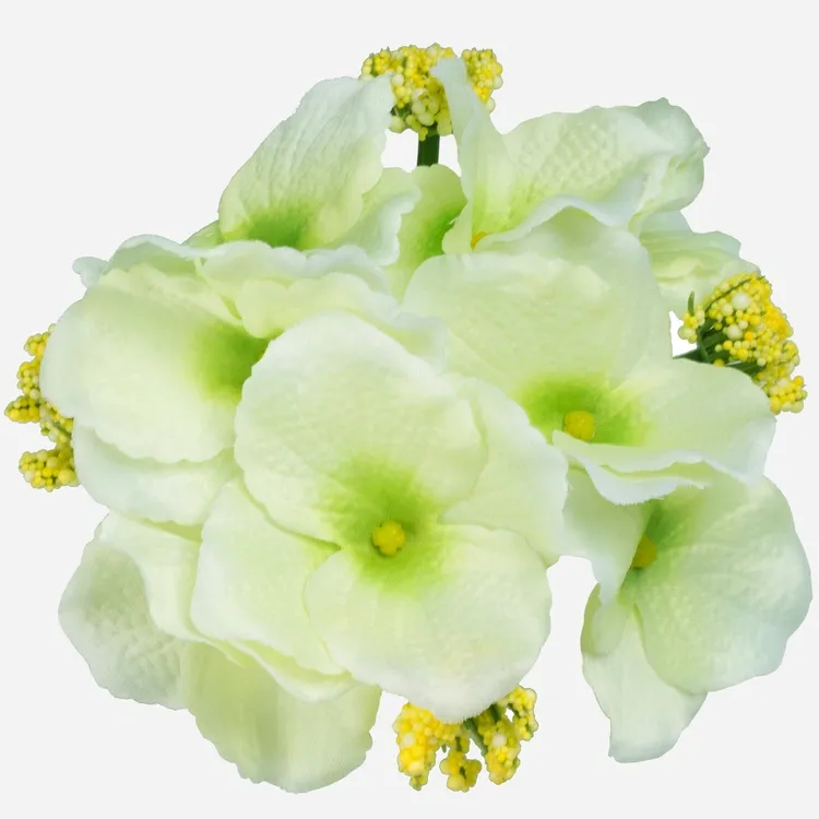 Hortensia tekokukkapää, vaalean vihreä