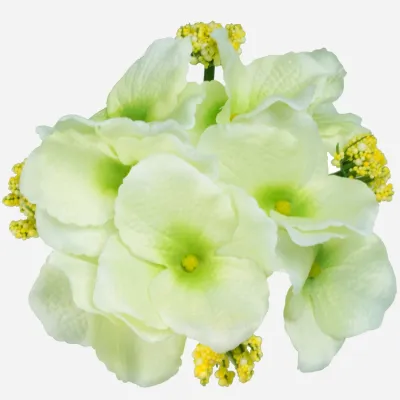 Hortensia tekokukkapää, vaalean vihreä