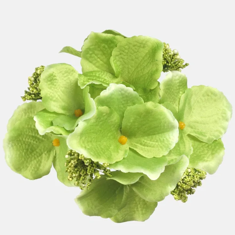 Hortensia tekokukkapää, vihreä