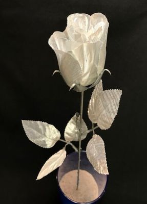 Tekoruusu nupussa, hopea