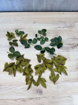 POISTOTUOTE: tekolehdet 36kpl