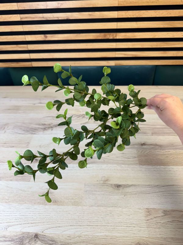 Eukalyptus teko-oksa
