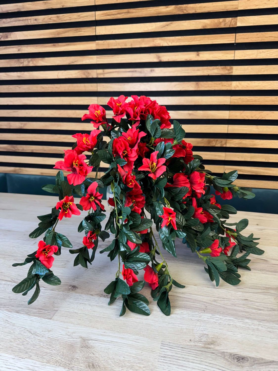 Azalea tekokukka-amppeli, punainen