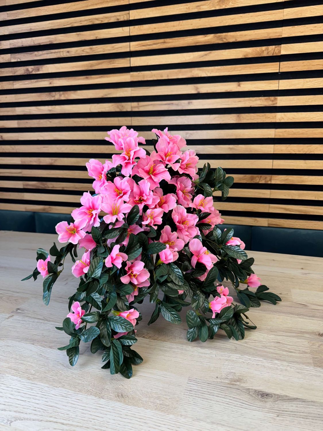 Azalea tekokukka-amppeli, vaaleanpunainen