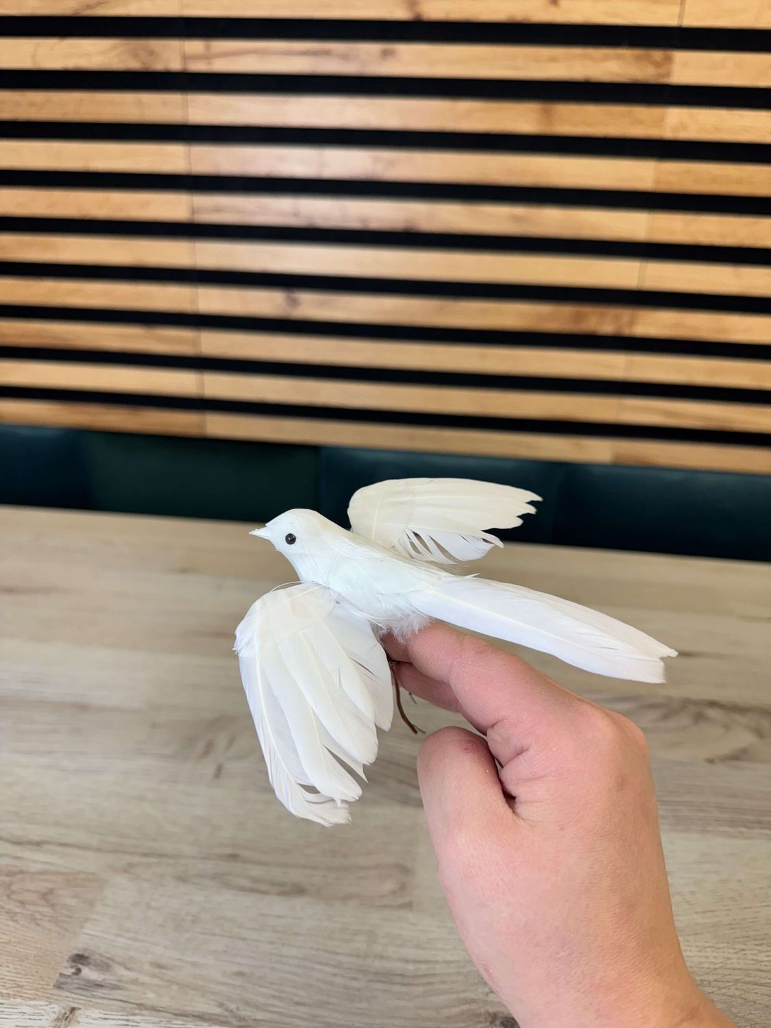 Valkoinen koristekyyhky