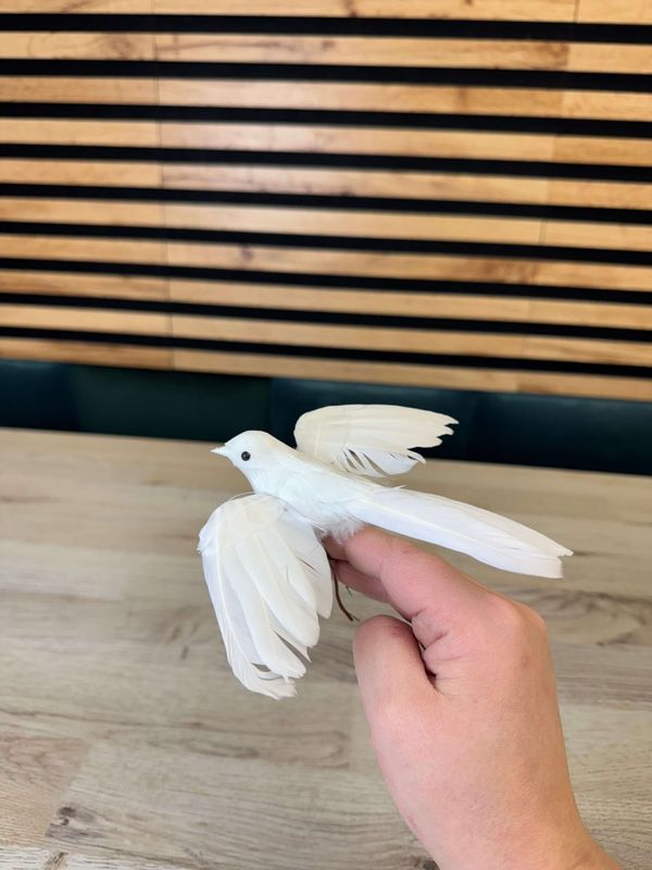 Valkoinen koristekyyhky