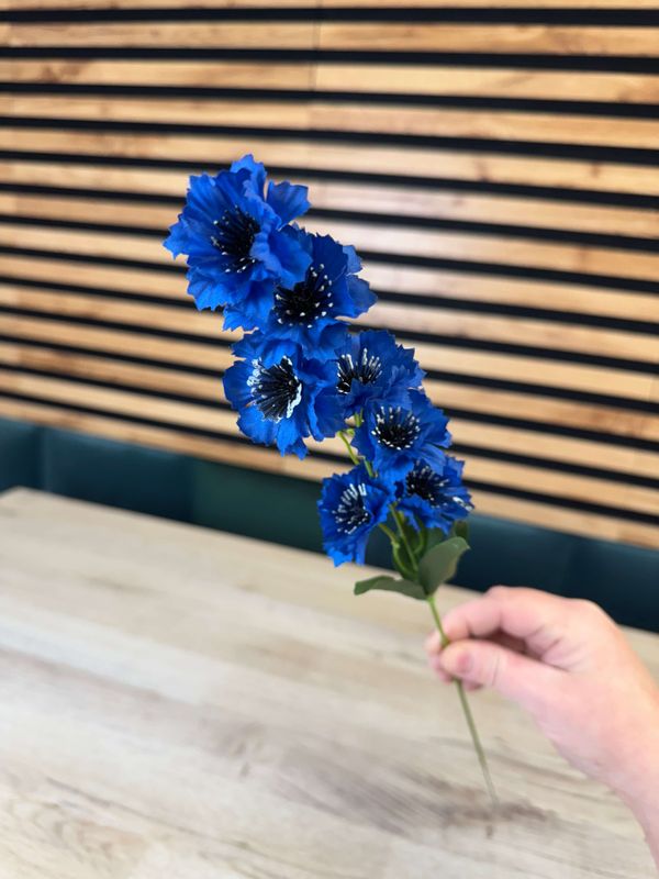 Ruiskaunokki tekokukka