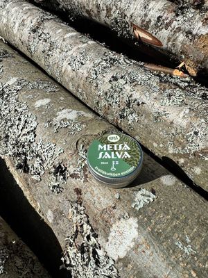 Metsäsalva / retkisalva / sissisalva - Eränkävijän ensiapu