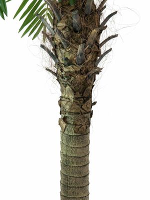 Taatelipalmu tekokasvi 240cm