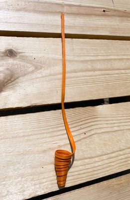 Sokeriruokokoriste, oranssi Sokeriruokokoriste, oranssi